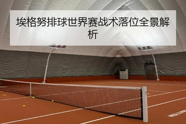 埃格努排球世界赛战术落位全景解析